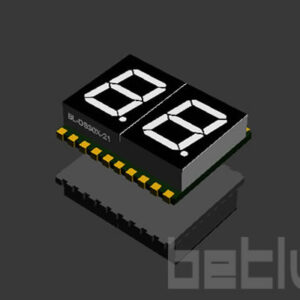 dual digit SMD display